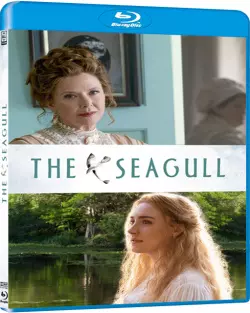 The Seagull