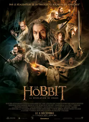 Le Hobbit : la Désolation de Smaug