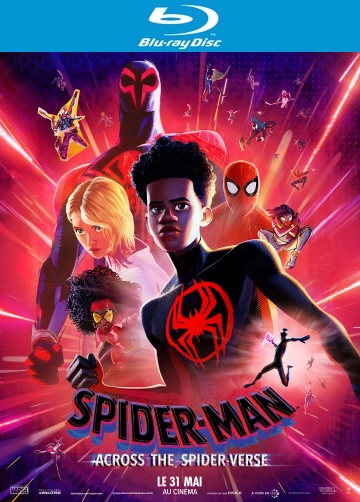 Spider-Man : Across The Spider-Verse