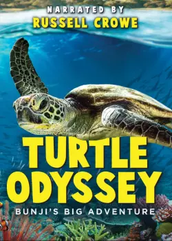 Turtle Odyssey