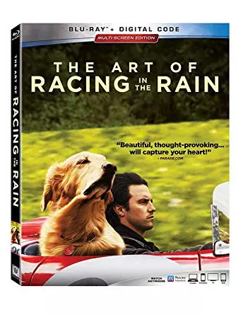 The Art of Racing in the Rain